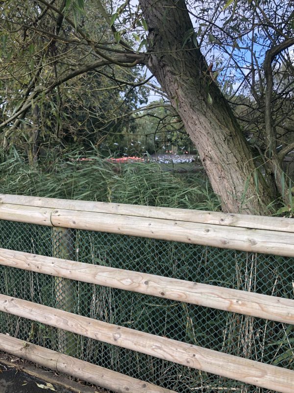 Zoos and Wildlife Parks Mesh4